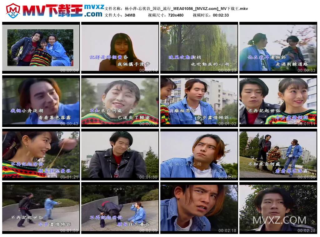 杨小萍-忘忧谷_国语_流行_MEA01056